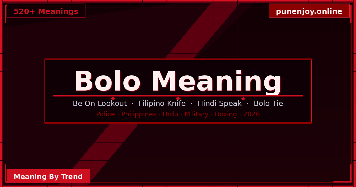 bolo meaning